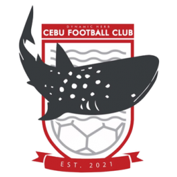 唐博斯科-加雷利联